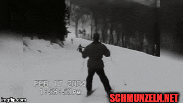 Lustige und schöne animierte Gifdumps