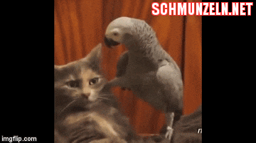 einkaufen