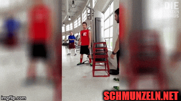 Lustige und schöne animierte Gifdumps