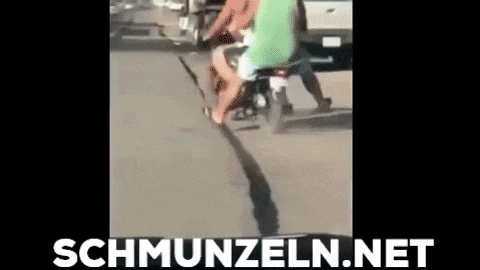 Lustige und schöne animierte Gifdumps #40 Lustige und schöne animierte Gifdumps #40
