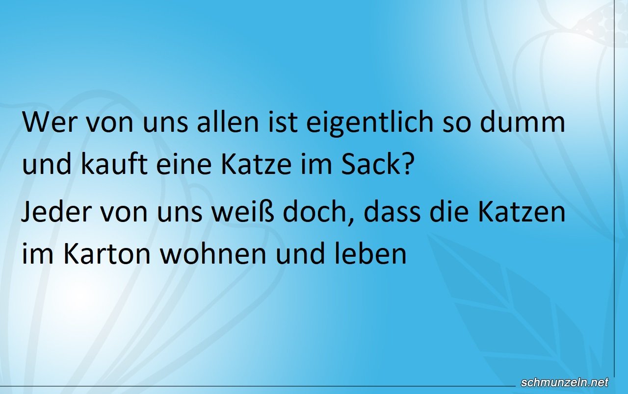 Die Katze im Sack kaufen Die Katze im Sack kaufen