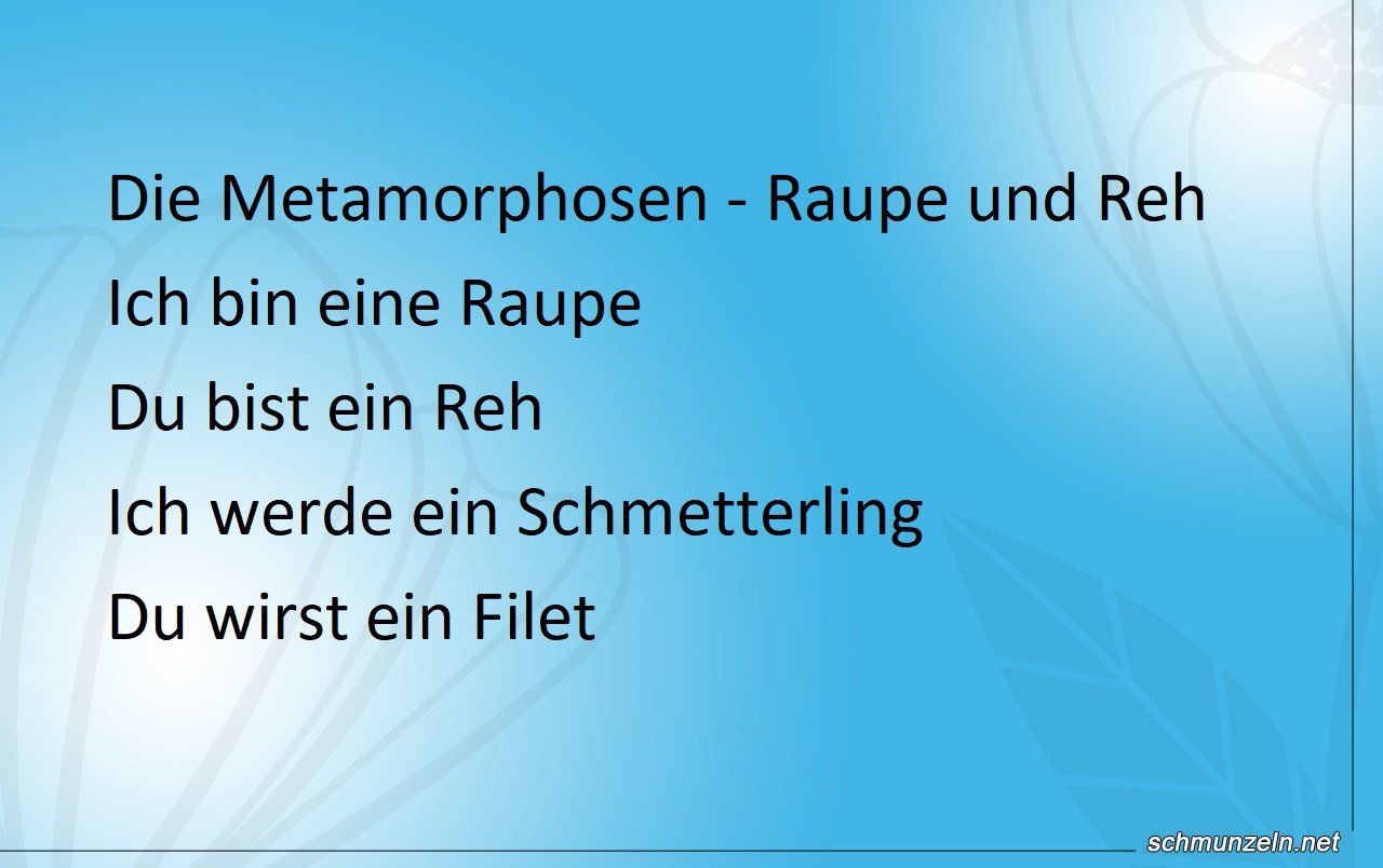 Metamorphosen von einer Raupe und einem Reh Metamorphosen von einer Raupe und einem Reh