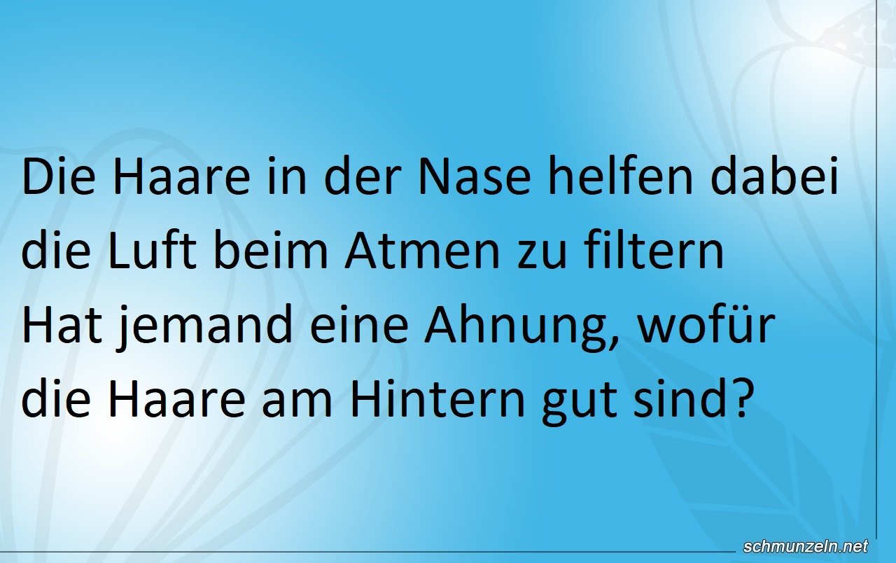 Haare in der Nase und am Hintern Haare in der Nase und am Hintern