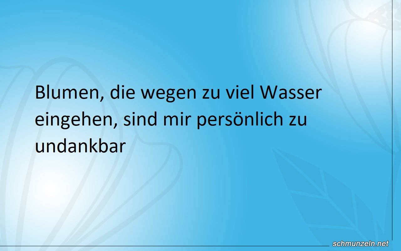 Undankbare Blumen trotz Wasser Undankbare Blumen trotz Wasser