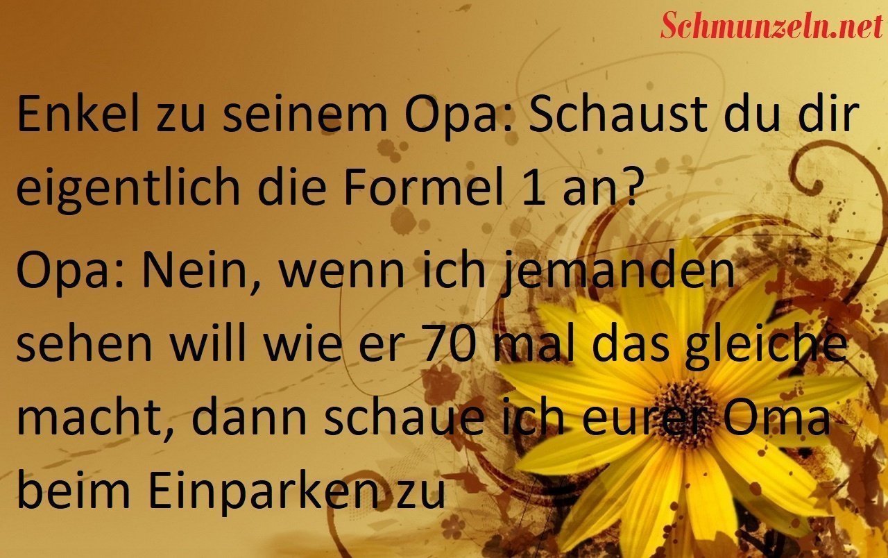 Was für ein Formel 1 Fan einparken