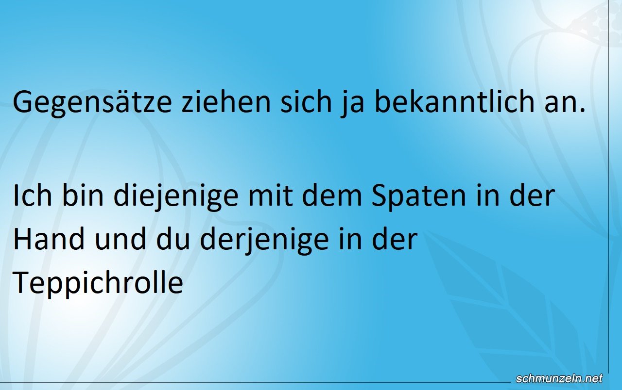 Gegensätze ziehen sich ja bekanntlich an Gegensätze ziehen sich ja bekanntlich an