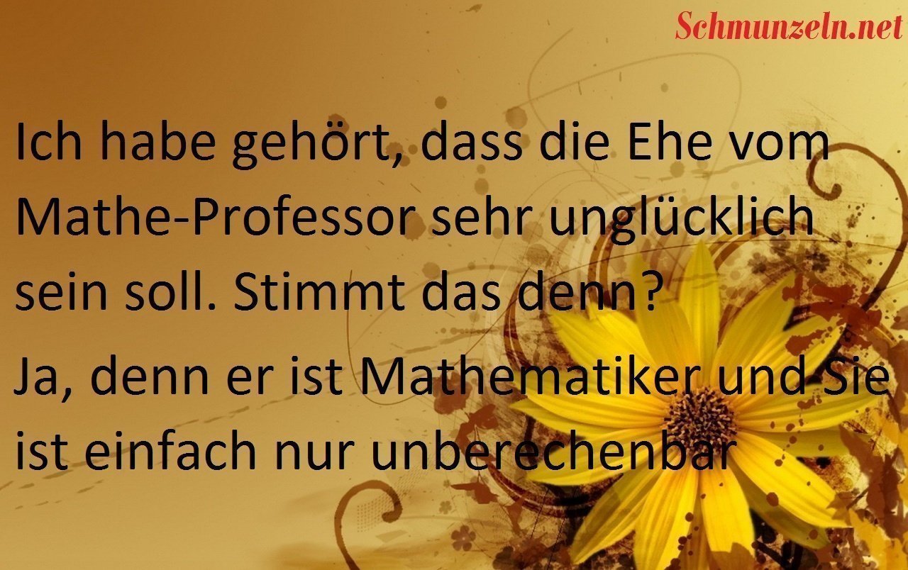 matheprofessor