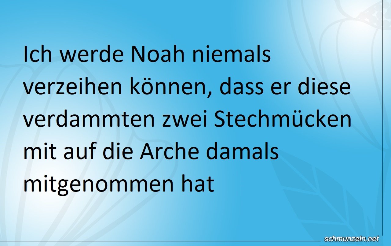noah