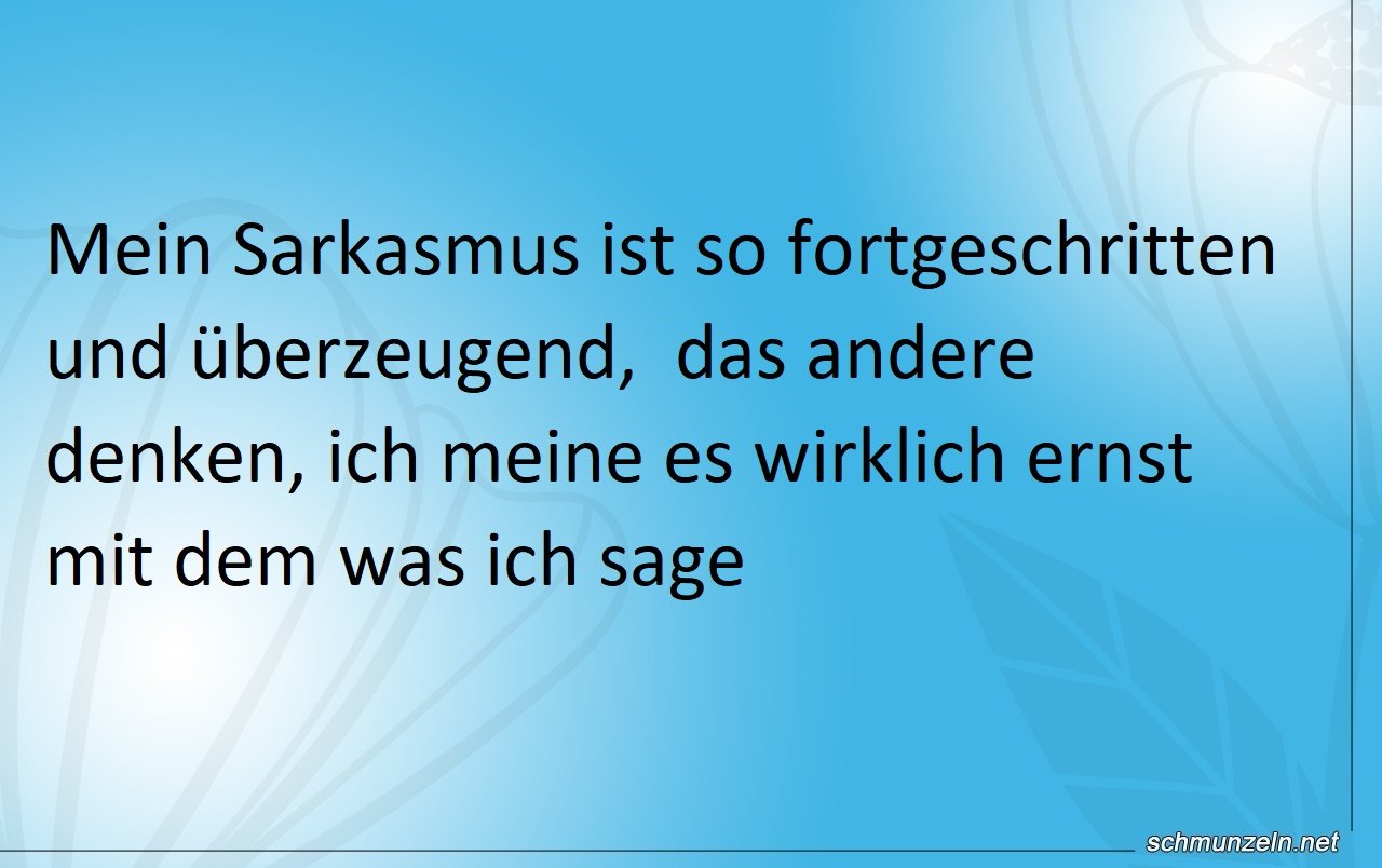 Mein eigener Sarkasmus ist so überzeugend Mein eigener Sarkasmus ist so überzeugend
