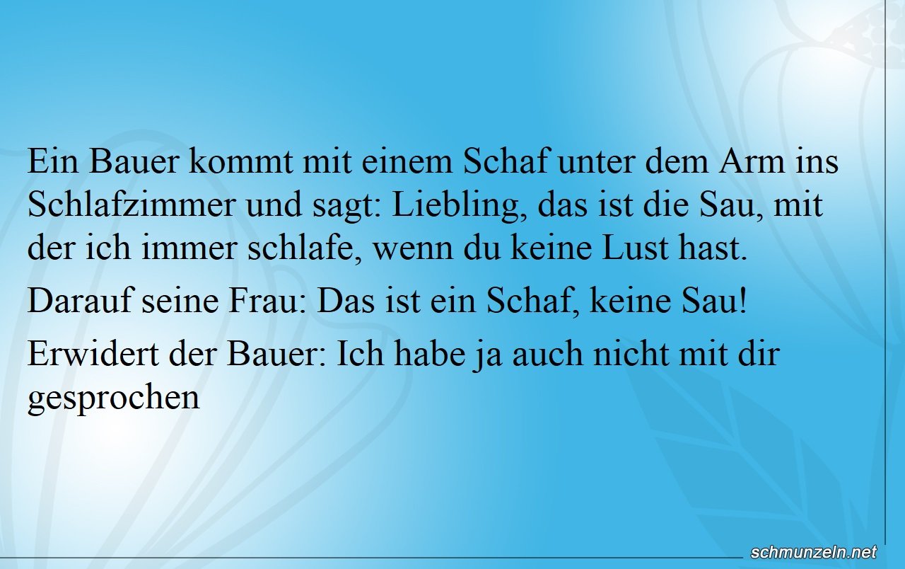 schaf schlafen