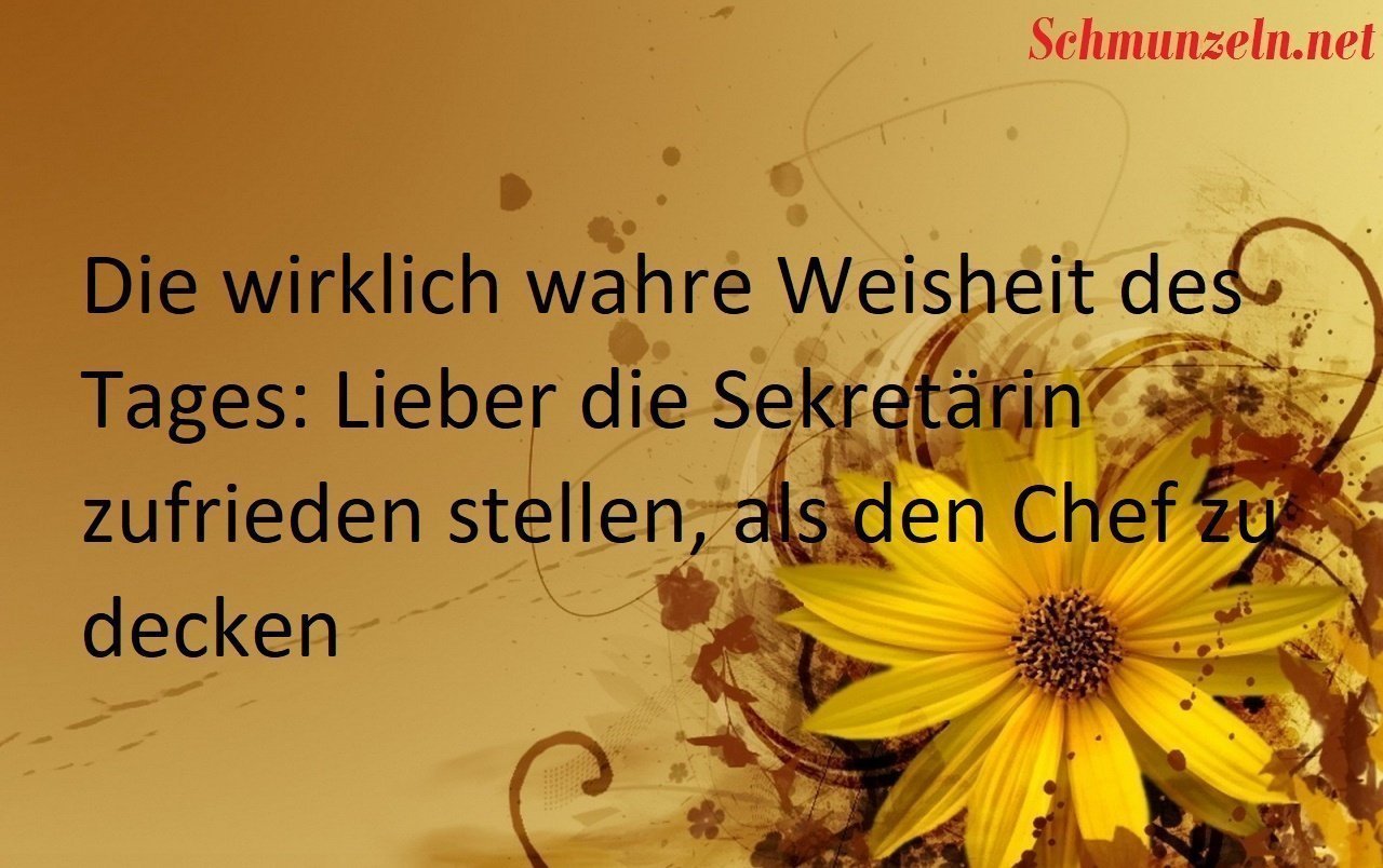Die wahre Weisheit des Tages Die wahre Weisheit des Tages