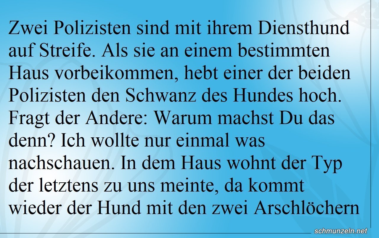 Polizisten sind mit ihrem Diensthund auf Streife Polizisten sind mit ihrem Diensthund auf Streife