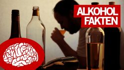 10 krasse fakten ueber alkohol