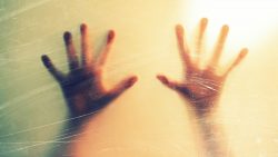 10 krasse fakten ueber den tod