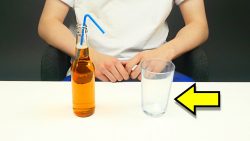 13 Wetten - Die du immer gewinnst 13 wetten die du immer gewinnst