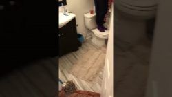 4 frauen gegen eine ratte