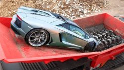 5 unglaubliche dinge die man nur