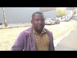 50 tierarten nachmachen