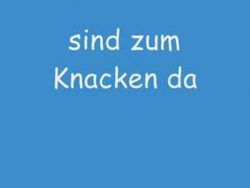 7 Zwerge - Der Song 7 zwerge der song