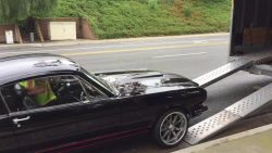 965 mustang verladen in einen an