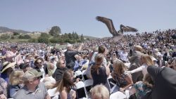 Abschlussfeier mit tierischer Störungen abschlussfeier mit tierischer st