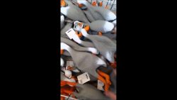 achtung die gaense kommen