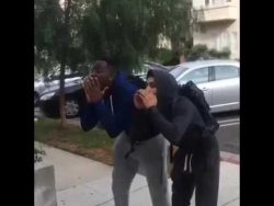 aergere niemals einen grossen hu