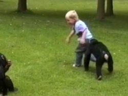 Affe und Kind rennen um die Wette affe und kind rennen um die wett