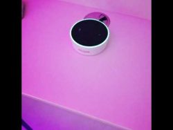 alexa ich muss morgen arbeiten