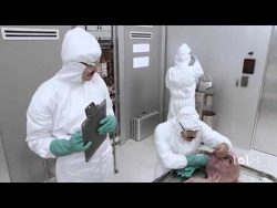 alien in der autopsie eklig aber