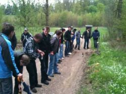 alkohol und stromzaun