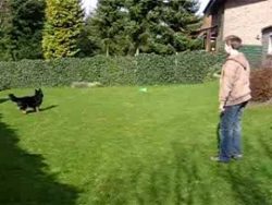 Aua aua am Sack aua aua am sack