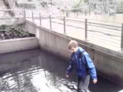 Auf die Planke du Pirat auf die planke du pirat