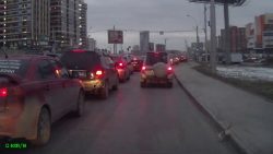 autofahrer rettet kleine katze a