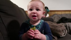 baby hasst essiggurke isst aber