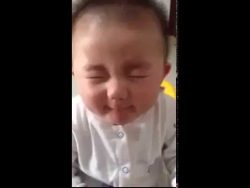 Baby kostet zum 1. Mal eine Zitrone baby kostet zum 1 mal eine zitro