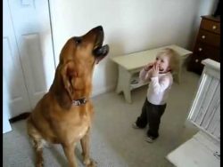 baby und hund machen gemeinsam m