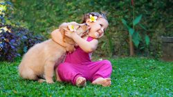 Babys und kleine Hunde spielen miteinander babys und kleine hunde spielen m 1