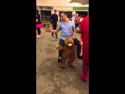 Bär trägt Mann auf den Schultern baer traegt mann auf den schulte