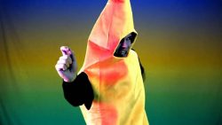 Banana Song - I'm A Banana banana song im a banana