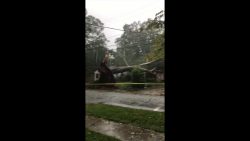 Baum fällt im Gewitter auf ein Haus baum faellt im gewitter auf ein