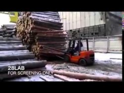 Baumstamm fang mich mal baumstamm fang mich mal