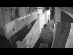 Bewegungsmelder + Sprinkler = keine Wildpinkler im Garten bewegungsmelder sprinkler keine