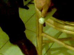 bierfass anstechen wie es nicht