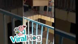 bleibt der schrank ganz oder geh