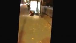 dame rennt gegen scheibe