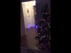 Darum nutzt der Weihnachtsmann noch Rentiere! darum nutzt der weihnachtsmann n