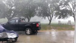 Das ist aber ganz schön windig bei denen im Garten das ist aber ganz schoen windig