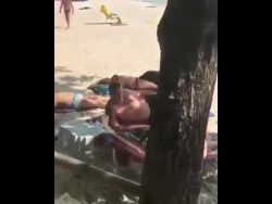 das schwein am strand