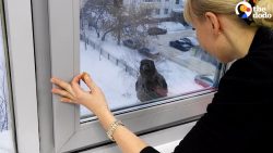 deine kekse kannst du behalten